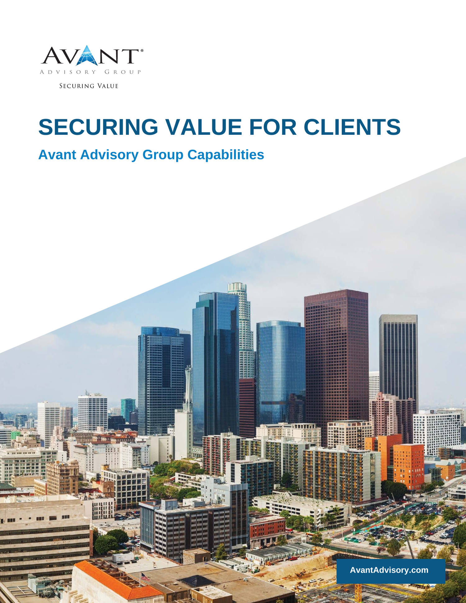 Avant Advisory Group Capabilities Booklet