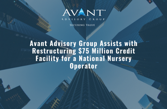 Avant Advisory Group’s recent restructuring project brought a great result for both the borrower and the lenders. Through Avant’s continuing efforts the client was able to prevent a potential bankruptcy situation and reposition itself for future growth.